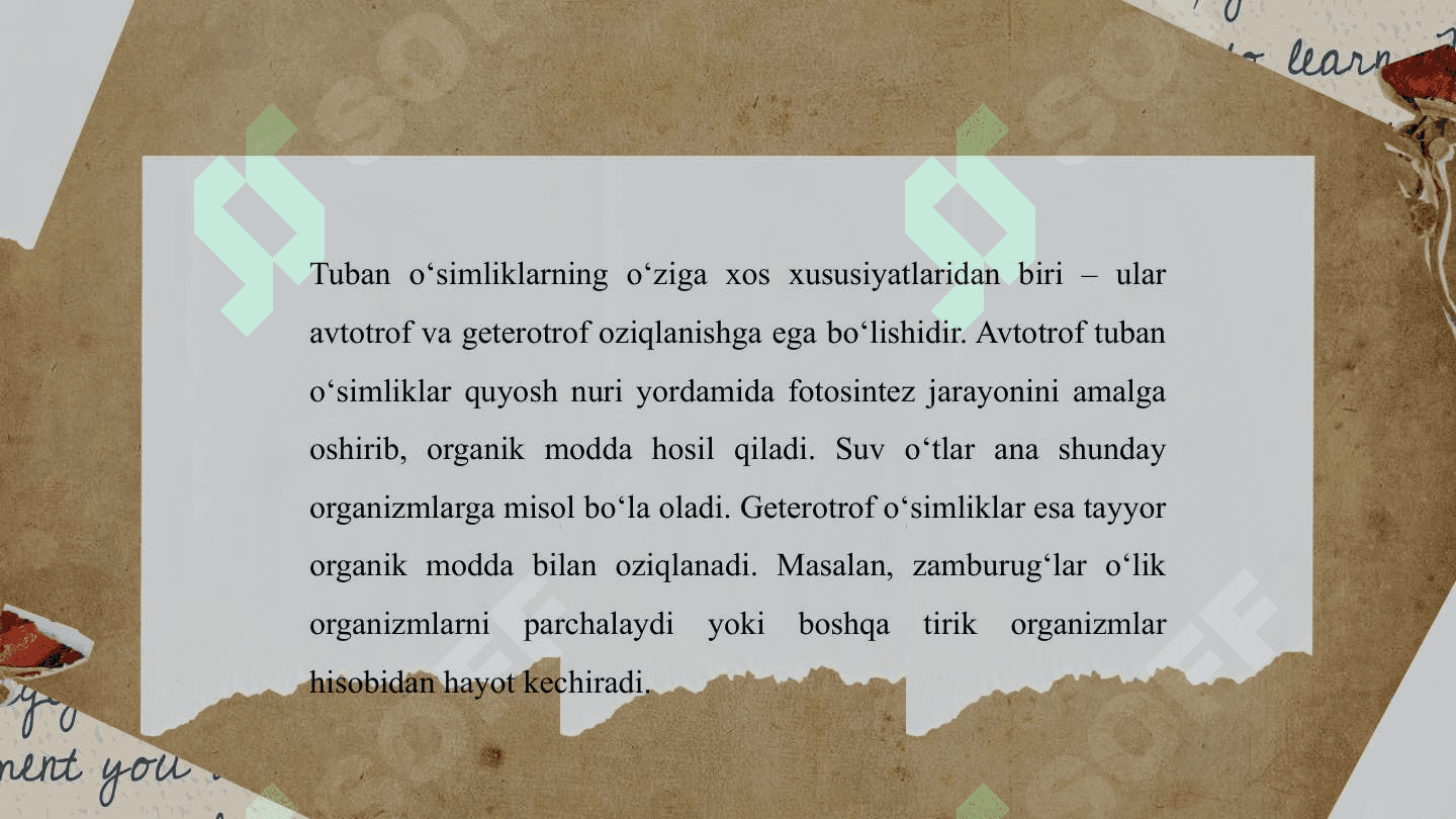Tuban oʻsimliklar.Yuksak oʻsimliklar. 4