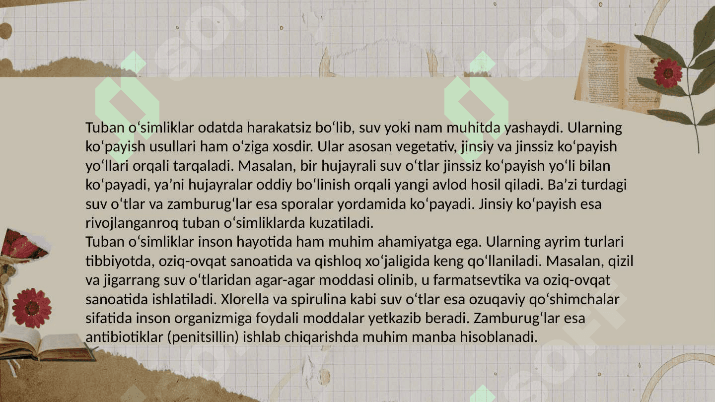 Tuban oʻsimliklar.Yuksak oʻsimliklar. 7