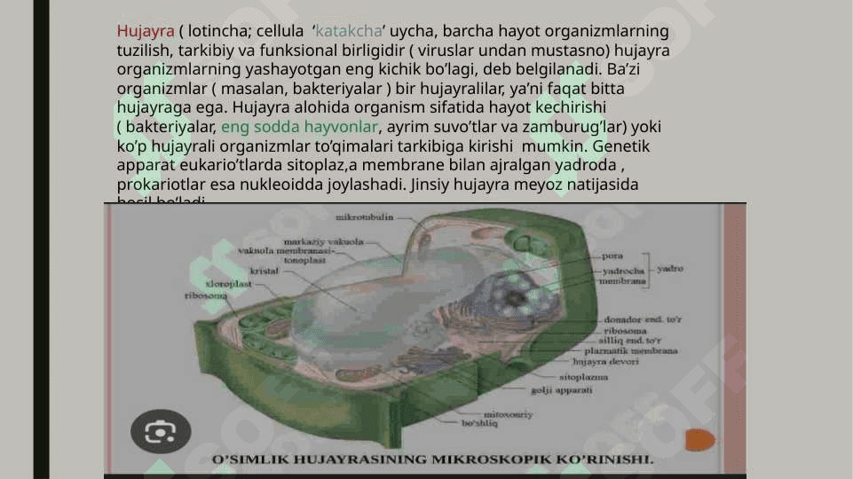 HUJAYRA TUZILISHI. HUJAYRA NAZARIYASI. HAYVON VA ODAM XROMOSOMALARINING XARAKTERISTIKASI. 4