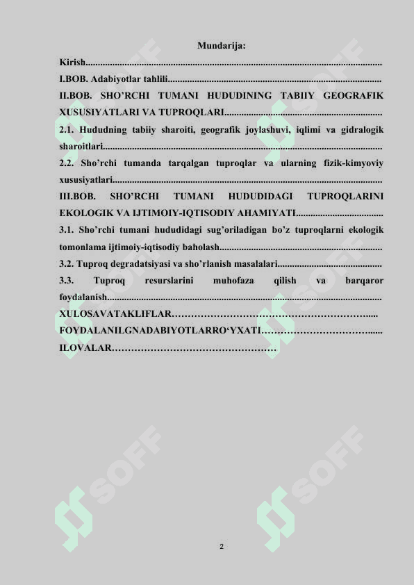 Sho’rchi tumani hududida tarqalgan tuproqlar va ularni ekologik jihatdan ijtimoiy-iqtisodiy baholash 2