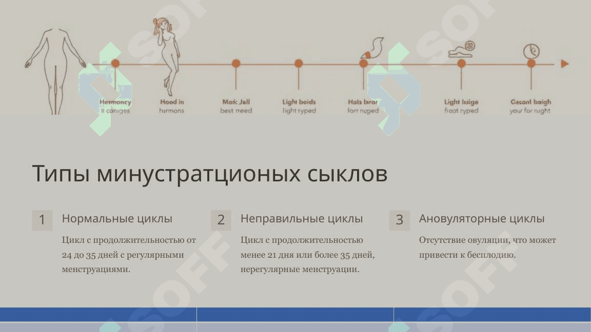 Минустратционые сыкл гистология 3