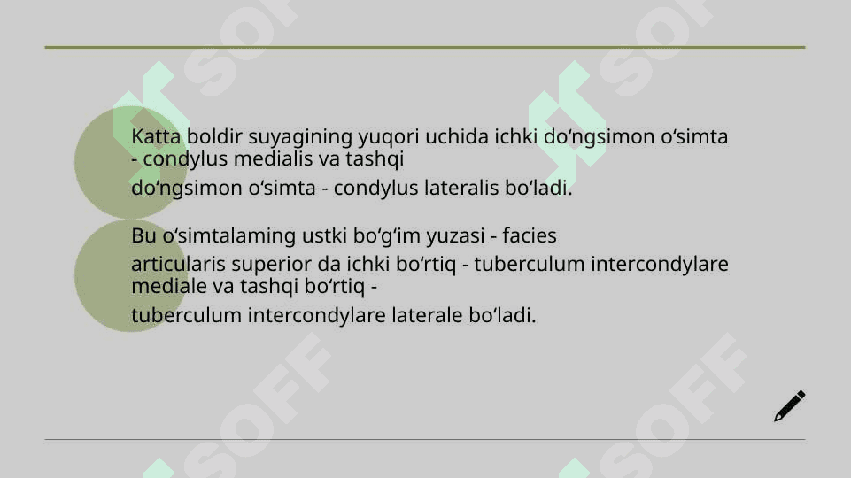 Mavzu: Oyoq suyaklari 2