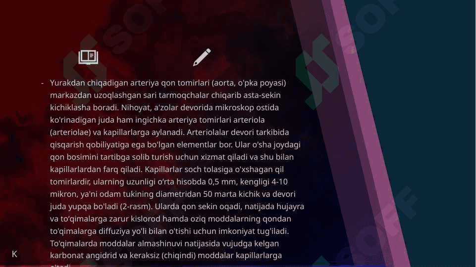 Mavzu: Qon tomirlar 5