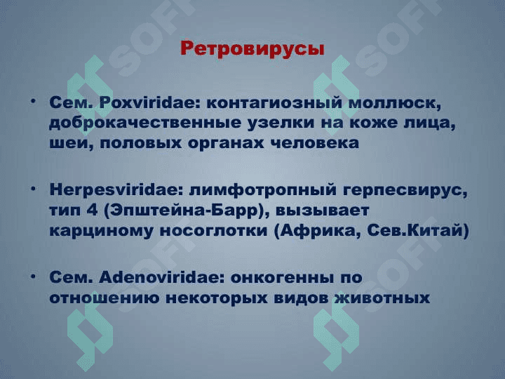 РЕТРОВИРУСЫ  ВИЧ-ИНФЕКЦИЯ   СПИД 8