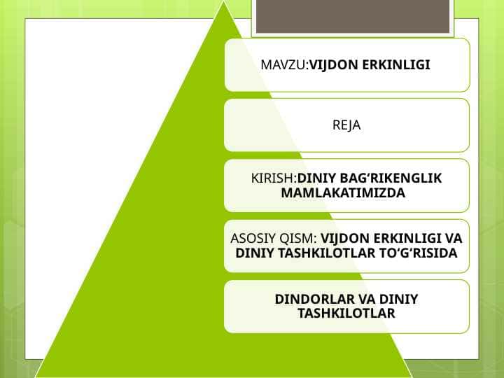 VIJDON ERKINLIGI