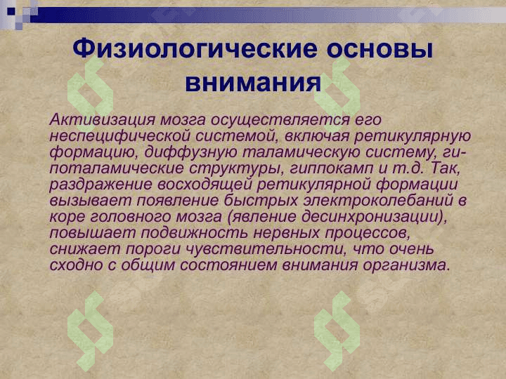 Психические познавательные процессы: внимание, память, мышление, речь, воображение 4
