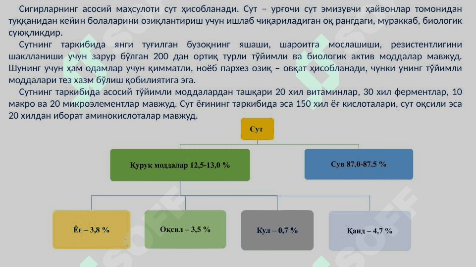Қорамолларнинг сут маҳсулдорлиги.  Сут ишлаб чиқариш технологияси. 4