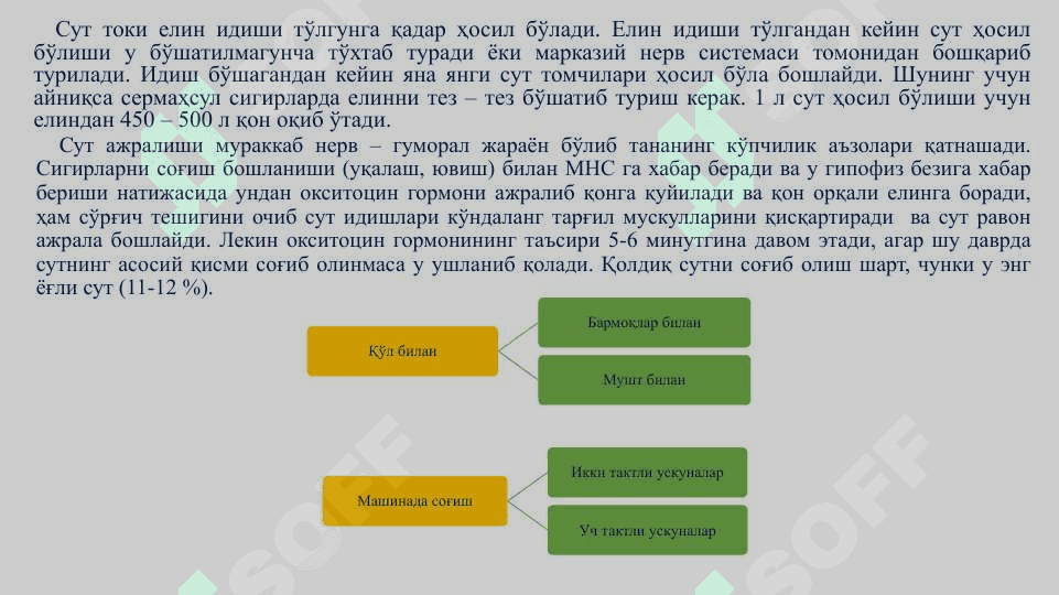 Қорамолларнинг сут маҳсулдорлиги.  Сут ишлаб чиқариш технологияси. 6
