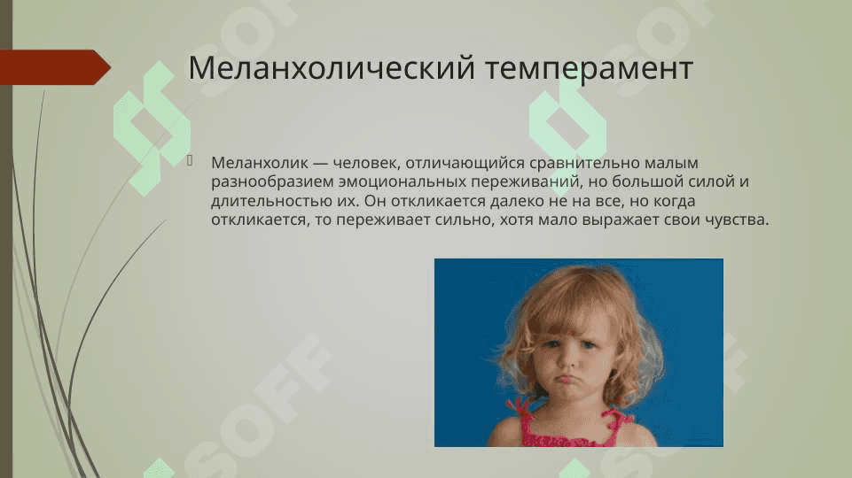 Понятие темперамента в общей психологии 6