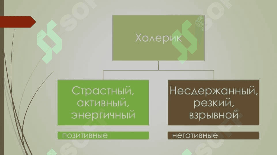 Понятие темперамента в общей психологии 8