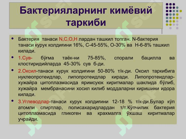 Бактерияларнинг физиологияси. Нафас олиши,   озикланиши, кўпайиши.  Озиқ мухитлар pptx 3