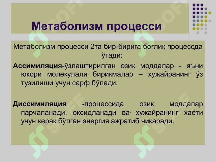 Бактерияларнинг физиологияси. Нафас олиши,   озикланиши, кўпайиши.  Озиқ мухитлар pptx 4