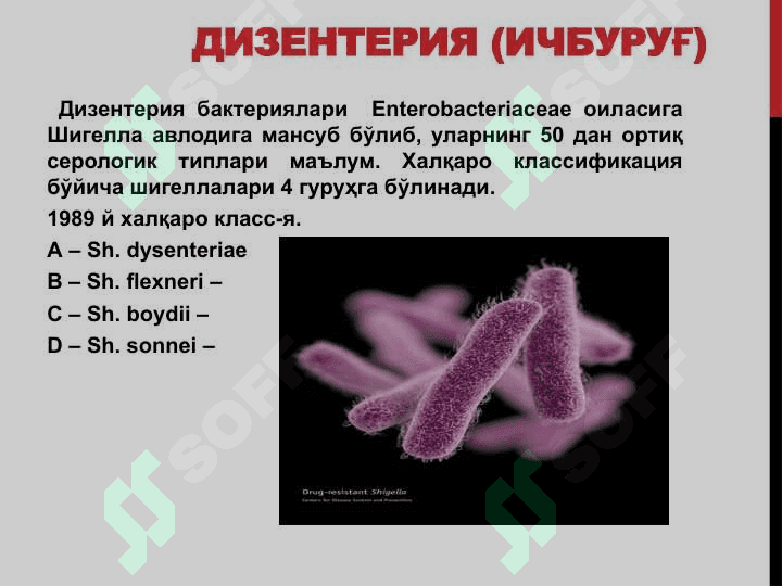 dizenteriya (ichburug`) pptx 2