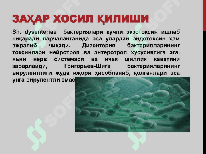 dizenteriya (ichburug`) pptx 6