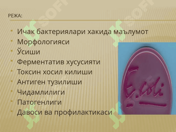 Микробиология, вирусология ва иммунология  pptx 2