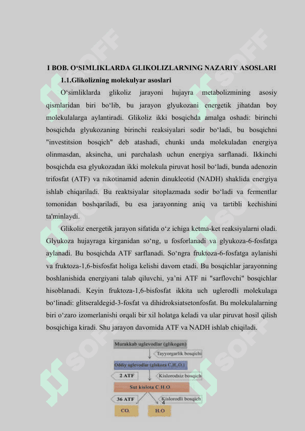 O‘simliklarda glikoliz va uning ahamiyati 4