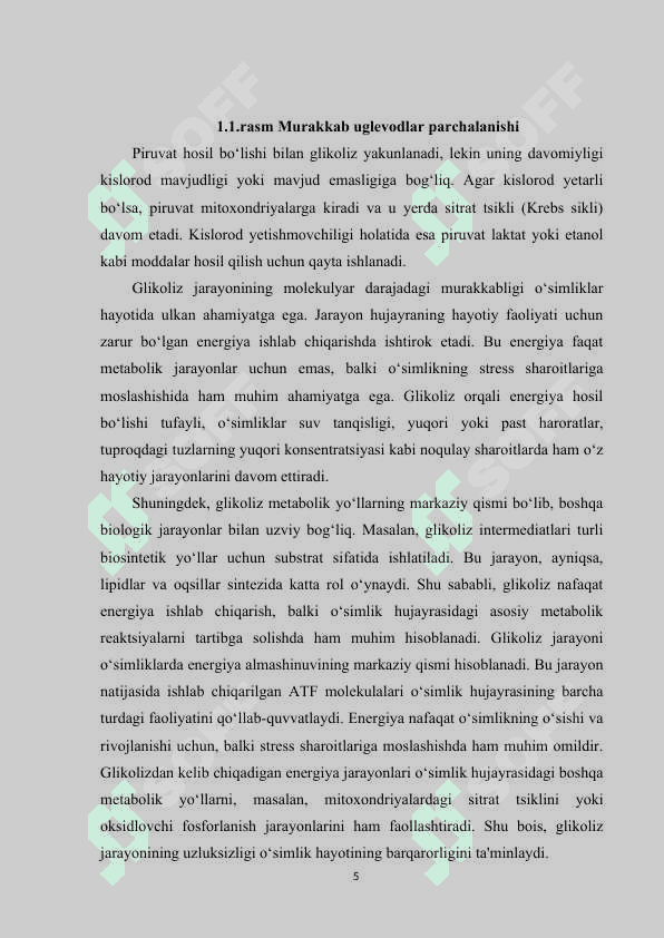 O‘simliklarda glikoliz va uning ahamiyati 5