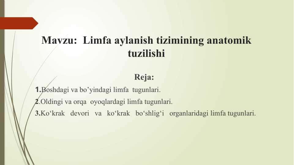 Limfa aylanish tizimining anatomik tuzilishi