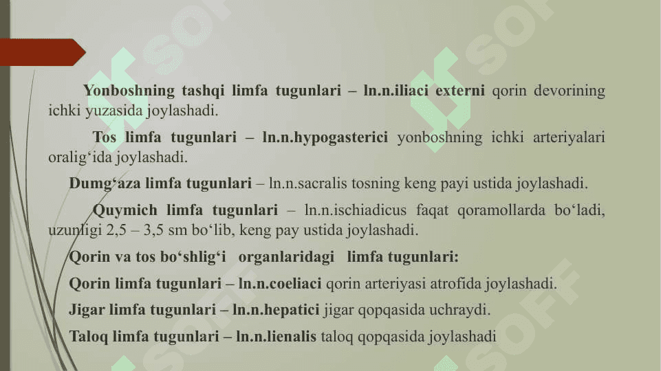 Limfa aylanish tizimining anatomik tuzilishi 7