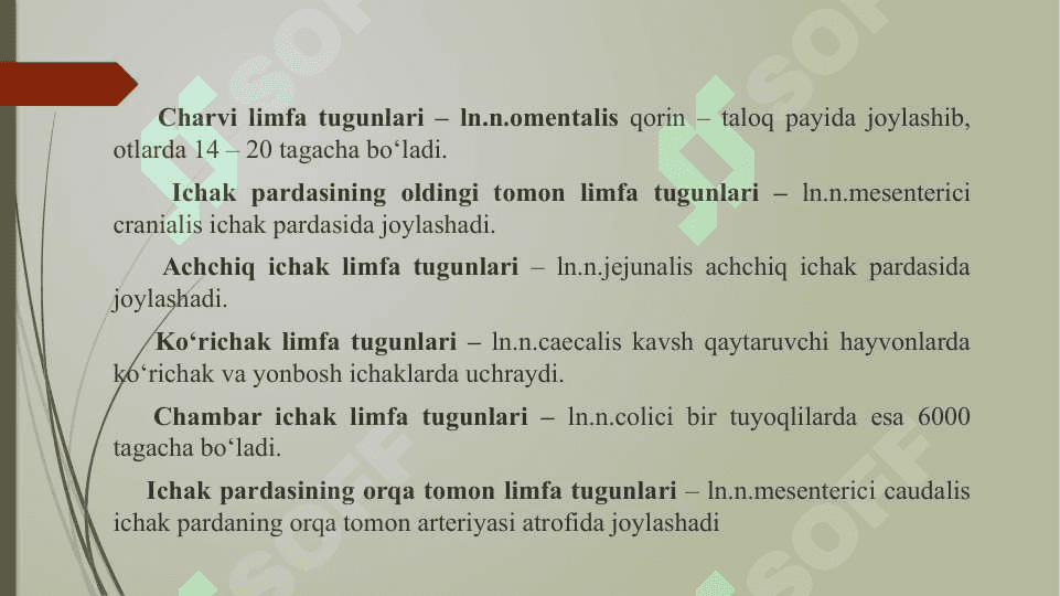 Limfa aylanish tizimining anatomik tuzilishi 8