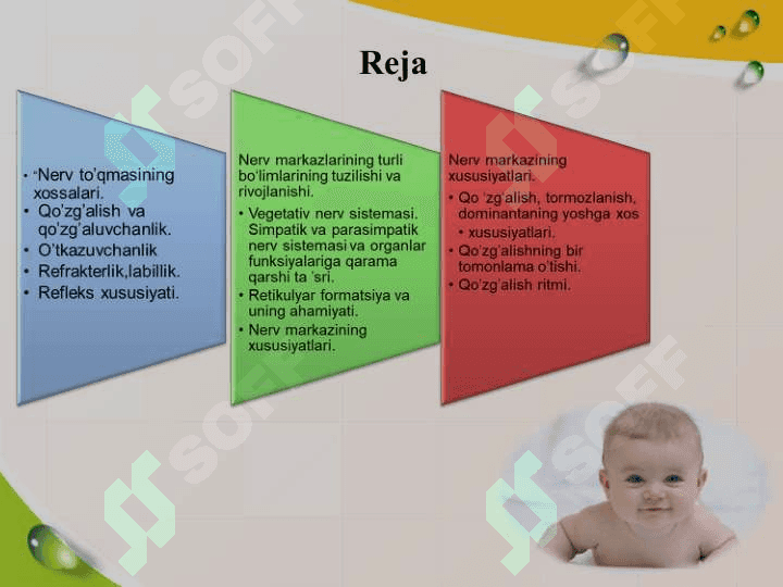 Neyron va nerv tolalarining yoshga bogliq xususiyatlari. 2