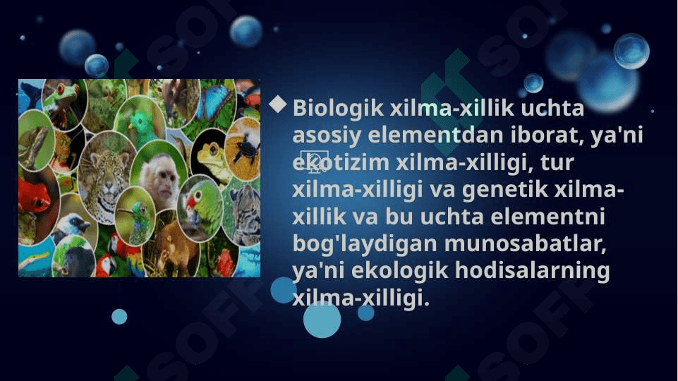 Biologik xilmama-xillikni saqlashga zamonaviy yondashuvlar  pptx 4