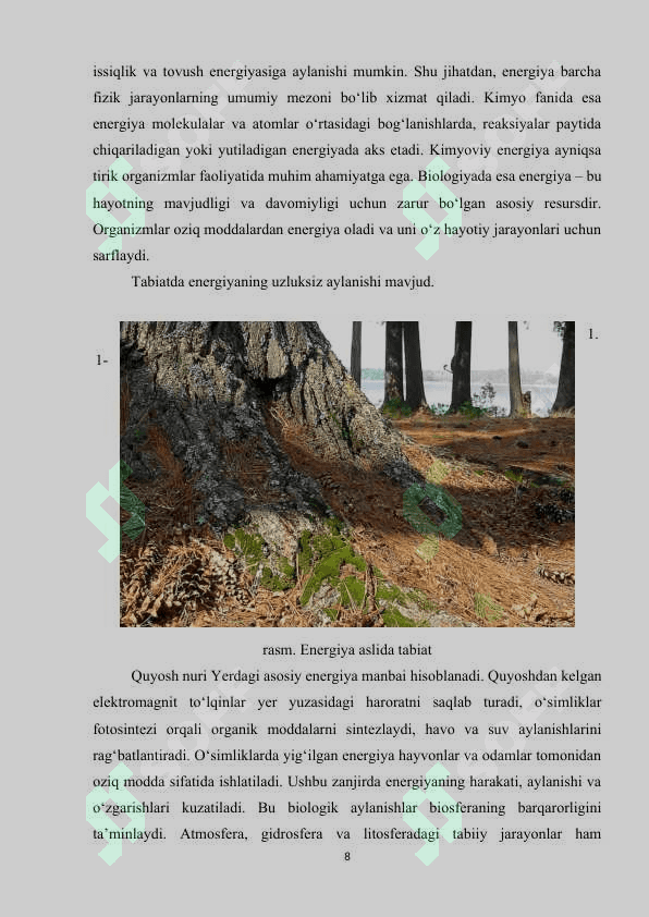 Energiya.Issiqlik va yorug'lik. Tovush harakat va tezlik. Magnit 8