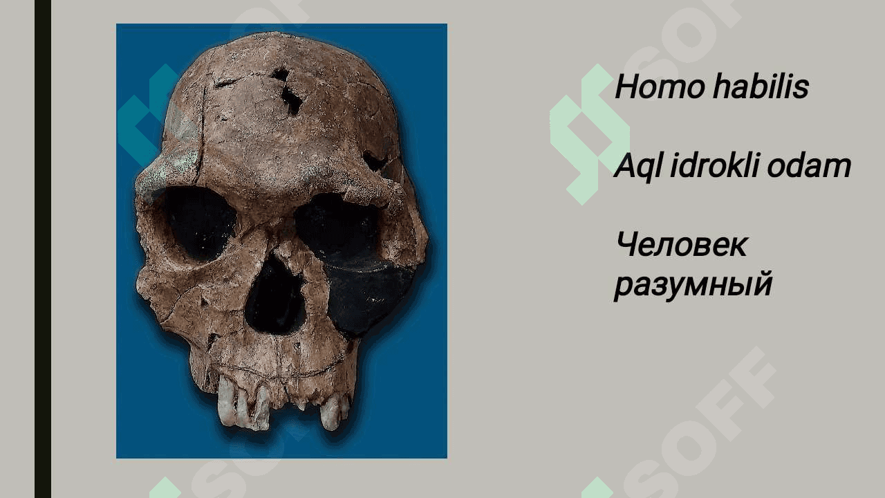 Paleolit davri va uning o‘rganilishi. 4