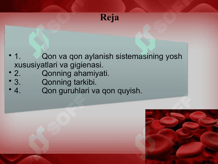 Qon va qon aylanish sistemasining yosh xususiyatlari 2