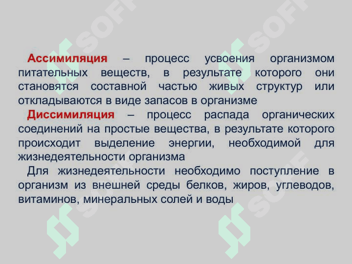 Moddalar va energiya almashinuvi yosh xususiyatlari va gigienasi. Vitaminlar 4