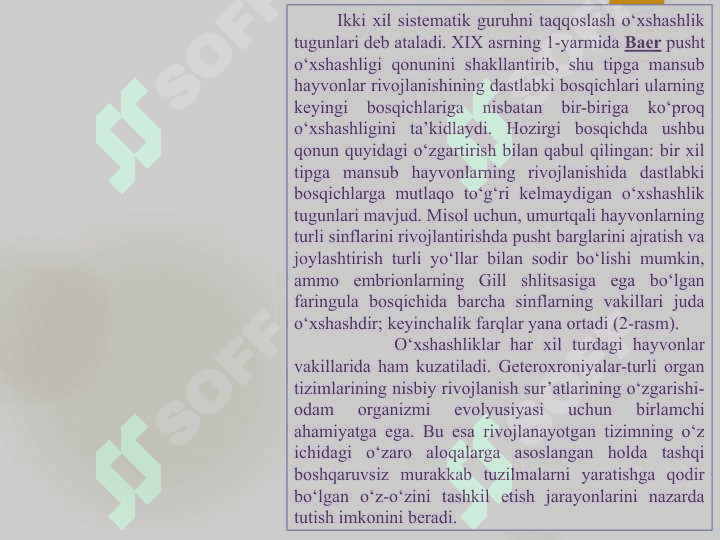 YOSH DAVRLARINING PSIXOLOGIK XUSUSIYATLARI 8