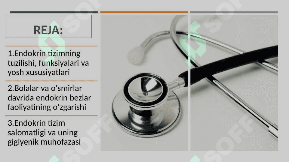 Endokrin tizimning yoshga doir fiziologiyasi va gigiyenasi 2