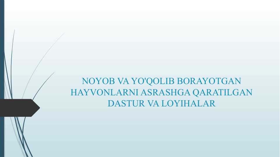 NOYOB VA YO'QOLIB BORAYOTGAN HAYVONLARNI ASRASHGA QARATILGAN DASTUR VA LOYIHALAR