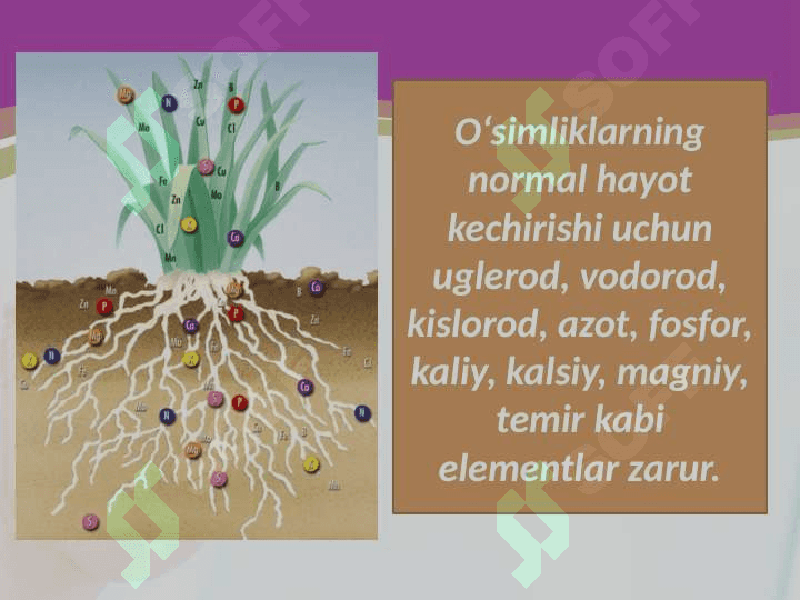 Mineral o‘g‘itlar 4