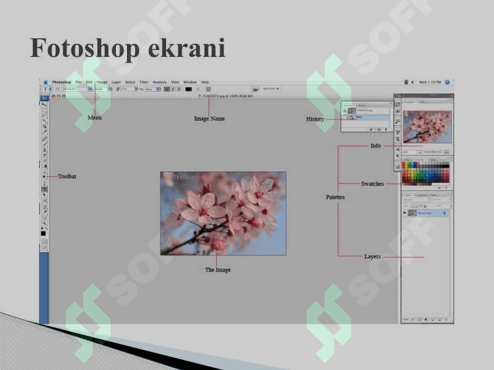 ADOBE PHOTOSHOP 4