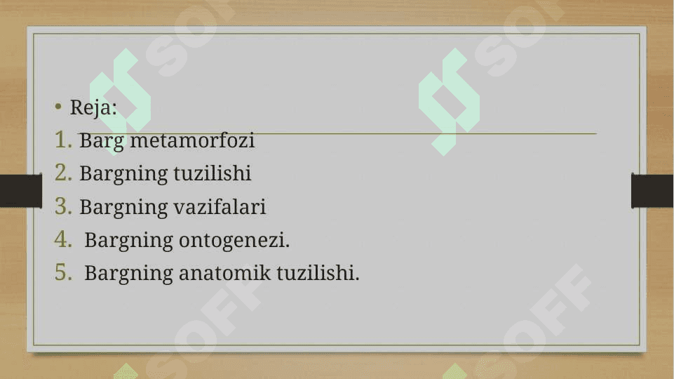 Bargning tuzilishi (morfologik, anatomik). 2