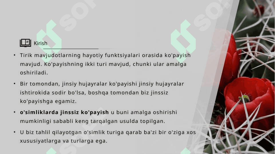 O’simliklarning jinssiz ko’payishi 3
