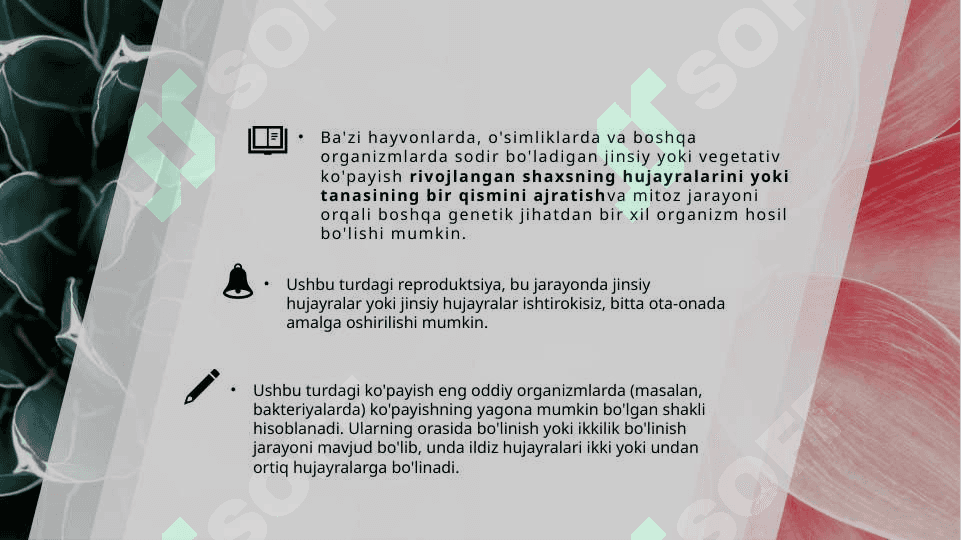 O’simliklarning jinssiz ko’payishi 4