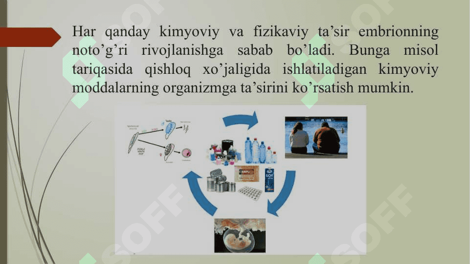 Embrionning tashqi muhit va ona organizmi bilan bog‘liqligi. Muhitning biotik va biotik omillari. 6