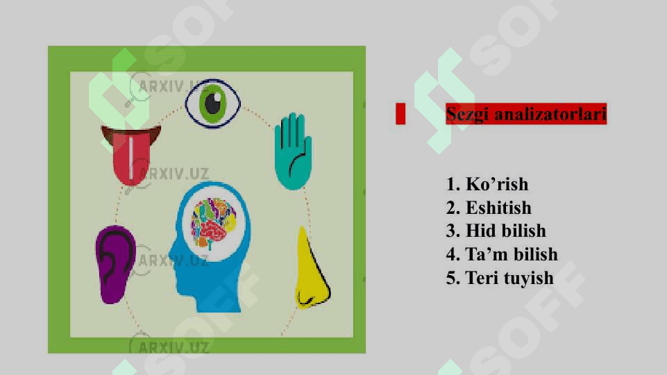 SEZGI VA IDROK , UMUMIY TASAVVURLAR VA YONDASHUVLAR 4