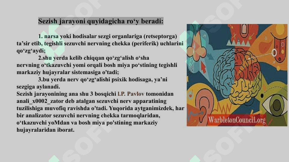 SEZGI VA IDROK , UMUMIY TASAVVURLAR VA YONDASHUVLAR 6