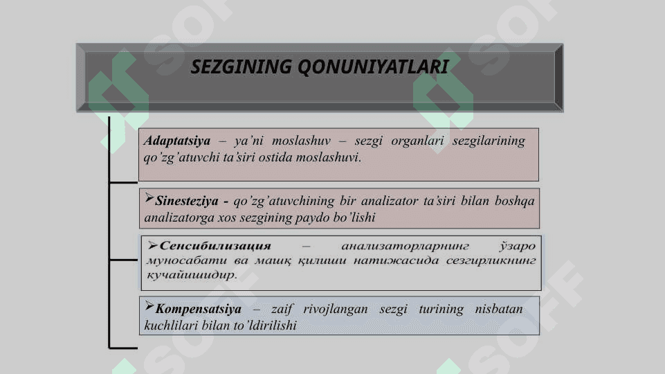 SEZGI VA IDROK , UMUMIY TASAVVURLAR VA YONDASHUVLAR 8