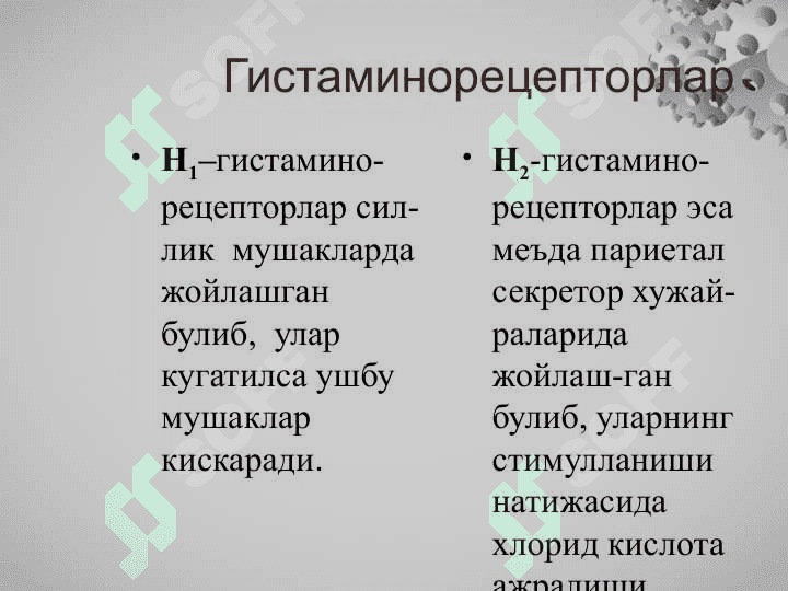 Allergiyaga qarshi dori vositalari 7