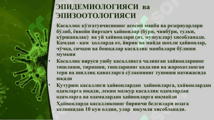 Quturish kasalligi 8