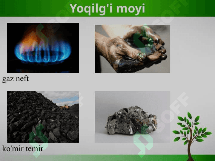 Fransiyaning ekologik muammolari 3