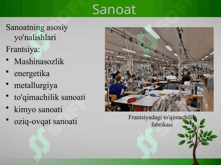 Fransiyaning ekologik muammolari 4