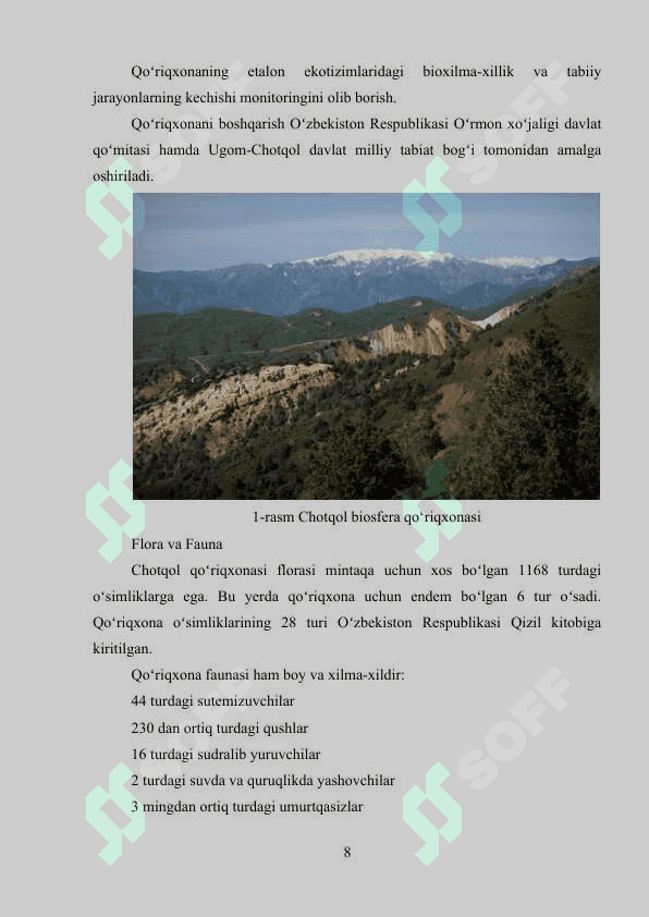 Chotqol biosfera qo‘riqxonasi 6