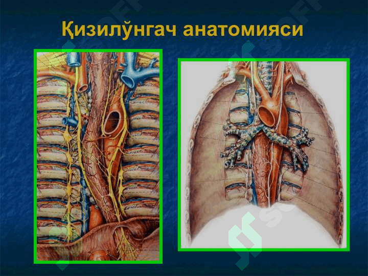 Қизилўнгач касалликлари. Кардиоспазм 3