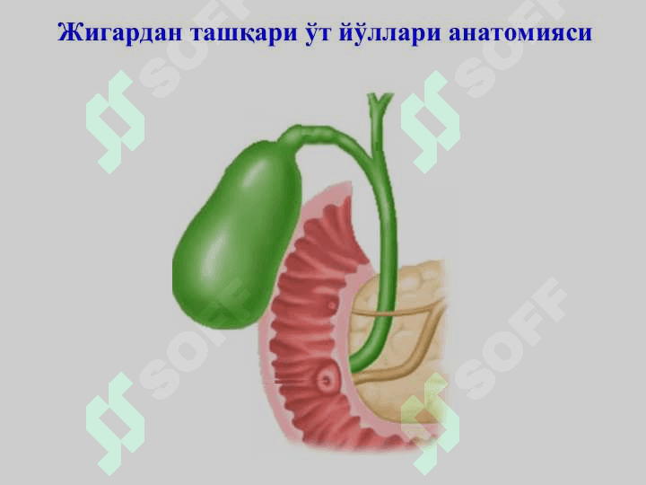 Механик сариқлик, постхолецистэктомик синдром 3