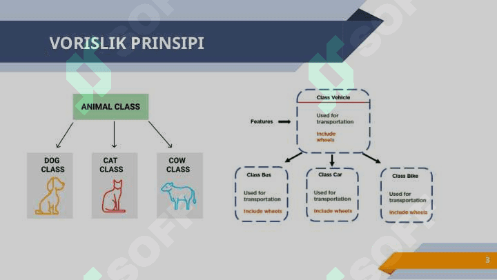 Sinflarda vorislik prinsipi 3